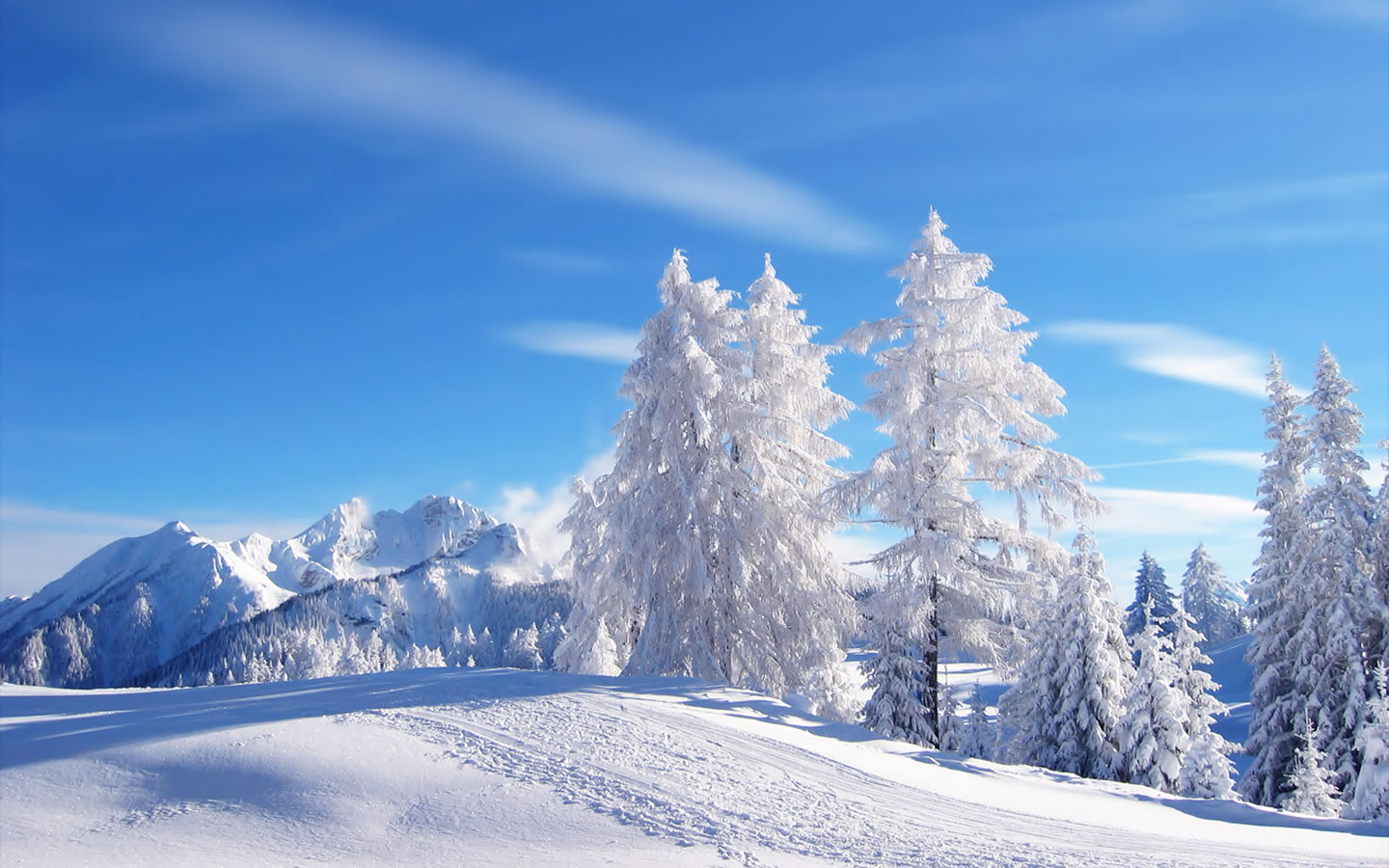 雪松挺拔漂亮雪山景色 蓝天下的漂亮雪景ps背景素材图片